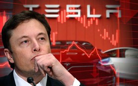 Hậu sa thải hàng nghìn nhân viên, Tesla tiếp tục cắt giảm tuyển dụng: Hôm trước còn tuyển 3.400 vị trí, sau 1 đêm chỉ còn... 3 vị trí