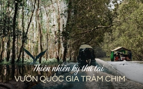 Vườn Quốc gia Tràm Chim - khu Ramsar thế giới của Việt Nam: Mộc mạc, hoang sơ nhưng ẩn chứa vô vàn vẻ đẹp kỳ vĩ