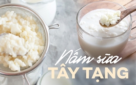 Tại sao cứ vào những ngày hè nóng hầm hập, nấm sữa kefir lại được chị em rủ nhau sử dụng?