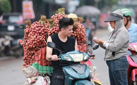 Bắc Giang: Người dân phấn khởi vì giá vải thiều cao chưa từng có, gần 100.000 đồng/kg