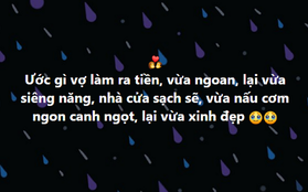 Thanh niên lên mạng tìm vợ hiền, chăm, lắm tiền bị dân mạng "vùi dập" tơi tả