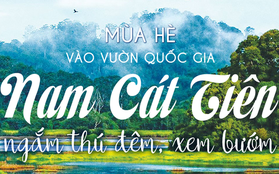 Mùa hè vào Vườn Quốc gia Nam Cát Tiên ngắm thú đêm, xem bướm