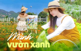 Khu vườn đẹp ấn tượng của cô gái 30 tuổi: Rau trái thu hoạch quanh năm mà chi phí cải tạo chỉ 10 triệu đồng