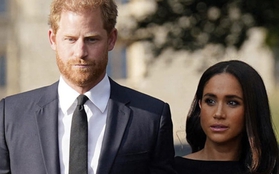 Harry "thất vọng" vì không ai trong gia đình nhận ra sự tương đồng giữa Meghan và Vương phi Diana