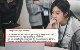 Phía sau câu chuyện nhân viên mới nhận việc viết email xin mang mèo đến công ty, HR đòi "xử lý"