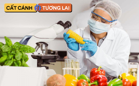 1 ngành học "khát" ít nhất 10.800 nhân lực/năm nhưng nhiều người trẻ không biết tới: Cơ hội siêu rộng mở, thu nhập tới 65 triệu đồng/tháng mà điểm đầu vào khá "dễ thở"