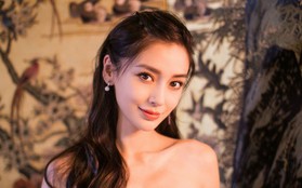 Angelababy được mở đường trở lại showbiz