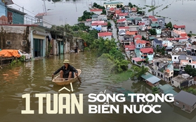 Một tuần sống cùng nước lũ của người dân ngoại thành Hà Nội: Chèo thuyền đi chợ, thả lưới bắt cá trước nhà