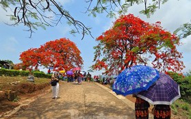 Điểm du lịch được tìm kiếm nhiều nhất Việt Nam