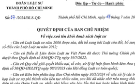 3 luật sư từng tham gia bào chữa vụ "Tịnh thất Bồng Lai" bị xóa tên