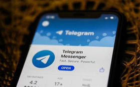 CEO bị bắt, Telegram lên tiếng