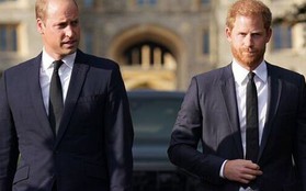 Thân vương William và em trai Harry cùng có mặt ở New York vào tháng tới, liệu có cuộc đoàn tụ nào diễn ra?