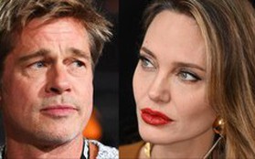 Đặc quyền của Angelina Jolie và Brad Pitt