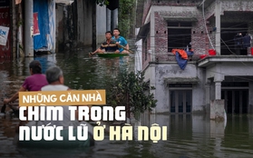 Toàn cảnh cuộc sống người dân ngoại thành Hà Nội bên trong những ngôi nhà nằm giữa "rốn lũ" Chương Mỹ