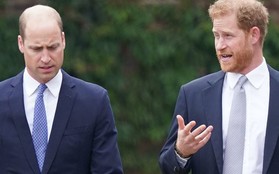 Nội tình cuộc hội ngộ bất ngờ giữa anh em Thân vương William và Harry sau 2 năm hoàn toàn "xa mặt cách lòng"