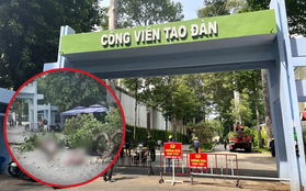 Nạn nhân bàng hoàng kể lại khoảnh khắc bị nhánh cây đè ở Công viên Tao Đàn: "Nghe mọi người hô hoán nhưng không né kịp"