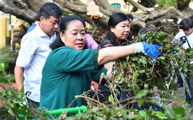 Bí thư Hà Nội cùng người dân dọn cây đổ, vệ sinh môi trường sau bão Yagi