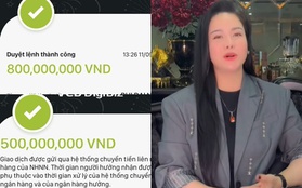 Thông tin chính thức vụ Nhật Kim Anh nói đã đóng góp 1,3 tỷ nhưng không có trong sao kê