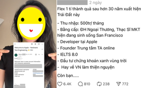 Vụ cô gái Việt khoe làm cho Apple, thu nhập 500 triệu bị "check VAR" liên tục: Chính chủ phản dame nhưng vẫn lộ loạt chi tiết mâu thuẫn?