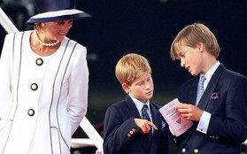 Chuyện ít biết về mối quan hệ giữa anh em William và Harry trước khi Vương phi Diana qua đời