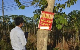 Từ bàn tay trắng, nhờ sử dụng “đòn bẩy tài chính” mua bất động sản, một nhà đầu tư kiếm hơn 100 tỷ sau hơn 10 năm