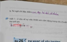 Đề bài yêu cầu "Viết 1, 2 câu cảm động về câu chuyện Hai anh em", học sinh ngoáy bút 4 từ không ai ngờ!