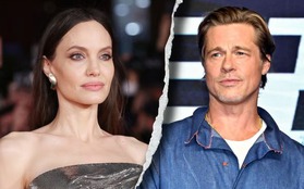 Kết quả sau 2 năm Angelina Jolie tố cáo Brad Pitt hành hung trên máy bay