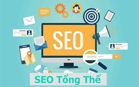 SEO tổng thể là gì? Tại sao nên chọn dịch vụ SEO tổng thể tại GTV SEO