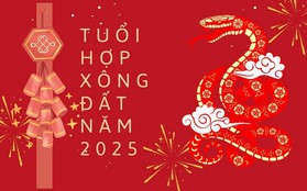 Năm Ất Tỵ 2025 có 3 tuổi xông đất, mở hàng, khai trương cực tốt, đem lại may mắn, tiền bạc cả năm cho gia chủ