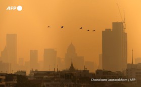 Bangkok chìm trong ô nhiễm: 352 trường học đóng cửa, người dân được kêu gọi làm việc tại nhà