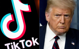 Ông Trump: Microsoft đang đàm phán để mua TikTok