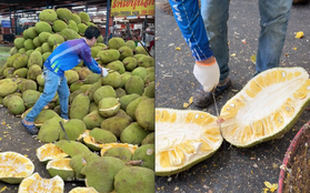 Cách người Thái bổ cả vựa mít mà không biết mệt mỏi, chẳng khác nào các "cỗ máy chạy bằng cơm"