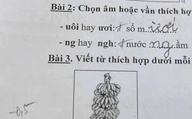 Chấm bài học sinh lớp 1, giáo viên vội vàng tìm thuốc đau đầu để uống: Gen Alpha cỡ này, Gen Z không có tuổi!