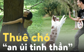 Không chỉ "ôm cây để chữa lành", nhiều người đang thuê "chó an ủi tinh thần" để giải tỏa căng thẳng