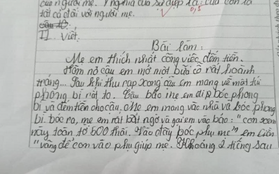 Học sinh tiểu học viết văn tả mẹ "thích nhất đếm tiền": Dân mạng cười nghiêng ngả còn mẹ thì ngượng chín mặt