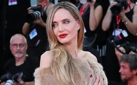 Angelina Jolie chưa sẵn sàng cho một mối quan hệ mới