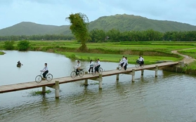 "Tôi Thấy Hoa Vàng Trên Cỏ Xanh": Ai cũng có một tuổi thơ để trở về