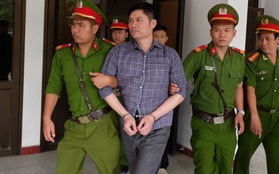 Y án sơ thẩm, Nguyễn Mạnh Tường lĩnh 19 năm tù