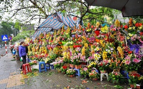 Mưa rét, cửa hàng hoa tươi vắng khách trong ngày Quốc tế Phụ nữ
