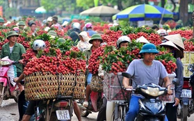 Chùm ảnh: Chợ vải thiều Lục Ngạn một màu đỏ rực kéo dài hơn 10km 