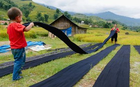 Chùm ảnh: Tây Bắc đẹp đến tan chảy trong nắng đầu thu