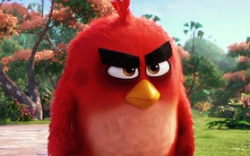 Cười ngất với teaser siêu bựa của phim hoạt hình "Angry Birds"