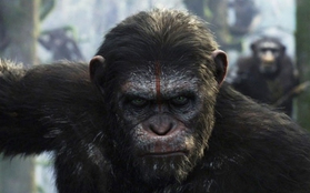 Lộ bức ảnh đầu tiên từ phim trường “War for the Planet of the Apes”