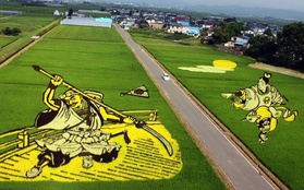 Mê mẩn nghệ thuật "trồng" tranh khổng lồ tại Nhật
