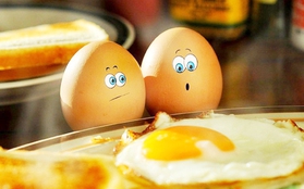 4 thí nghiệm nhí nhố khiến bạn không nỡ ăn trứng