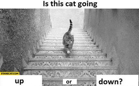 Giải mã tranh ảo giác "Chú mèo trên cầu thang" gây sốt
