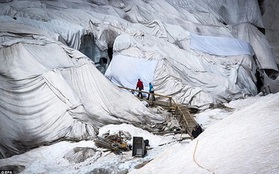 "Đắp chăn" cho băng tuyết trăm tuổi để tránh bị tan chảy