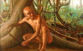 Tuyển tập truyền thuyết kỳ quái trong rừng rậm Amazon