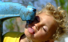 Video cho thấy quá trình con người "chết khát" khi thiếu nước