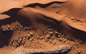 Ngắm sa mạc cổ nhất thế giới “ngon lành” như miếng chocolate